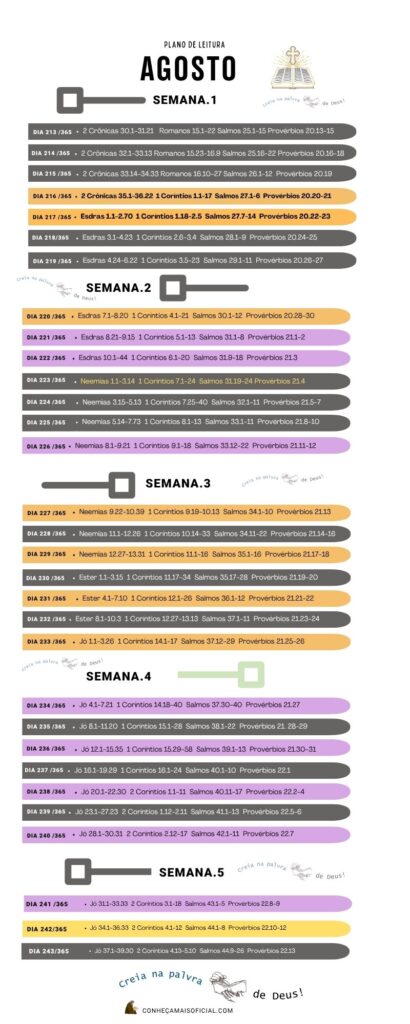 plano leitura agosto infografico