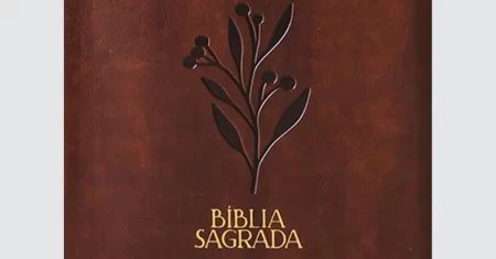 Bíblia Mulheres NVT- marrom Viviane Martinelle