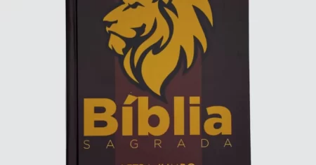 Bíblia Sagrada NVI Jumbo capa Leão